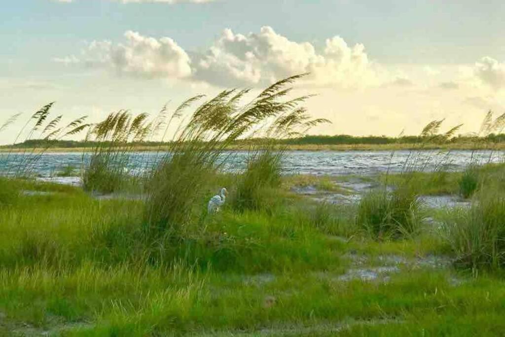 St Pete Vacation Rentals St. Petersburg Exteriér fotografie
